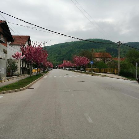 尼什矿泉村Pansion Velickovic公寓 外观 照片