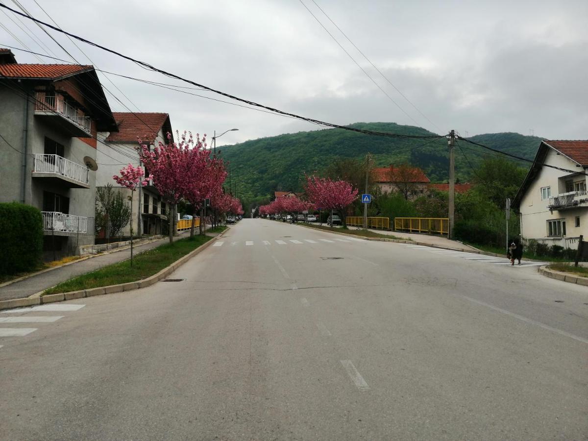 尼什矿泉村Pansion Velickovic公寓 外观 照片