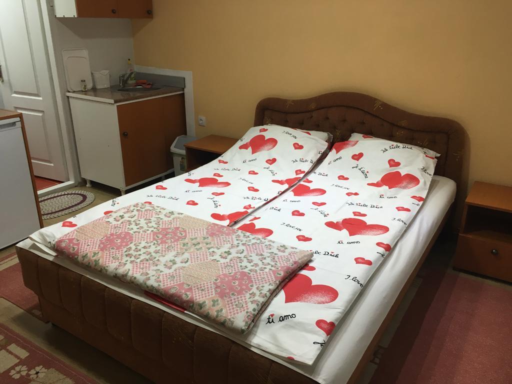 尼什矿泉村Pansion Velickovic公寓 外观 照片